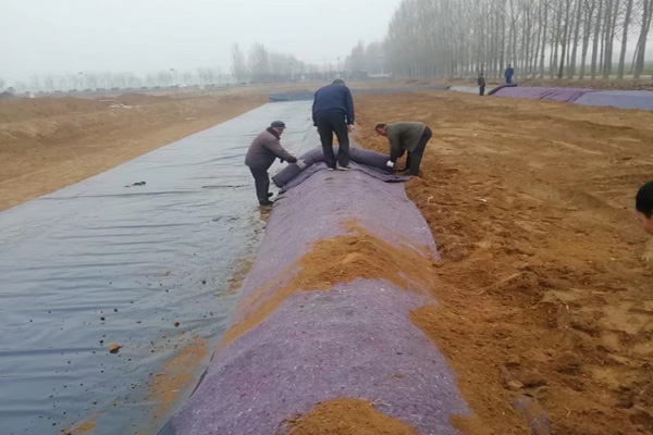 水蜜桃视频在线观看网站入口在雨季铺设的注意事项